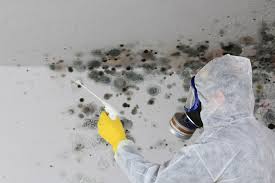 Biohazard Mold Removal in El Dorado, KS